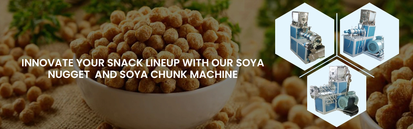 soya.webp