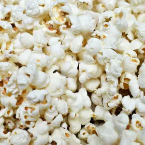 popcorn3.webp